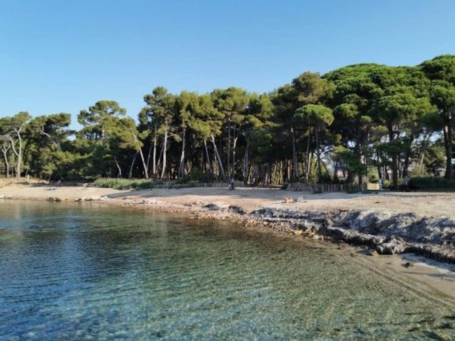 Charmant Studio Climatise 24 M2 Terrasse A 100M De La Plage Saint-Mandrier-sur-Mer Kültér fotó